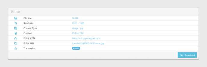 2-3-4-CMS-UI-File-Information-png
