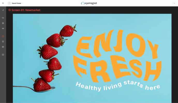 Screen Preview